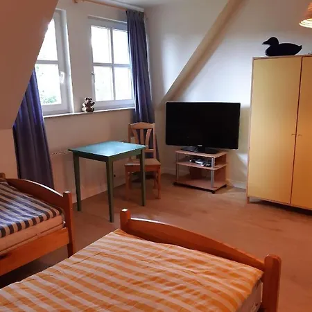 Kranichrast Ostseeheilbad Zingst